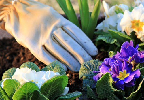 Essential garden tools for maintaining a garden in Erith