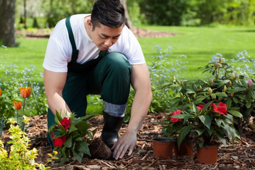 Gardener inspecting a boundary while carrying out a site safety check