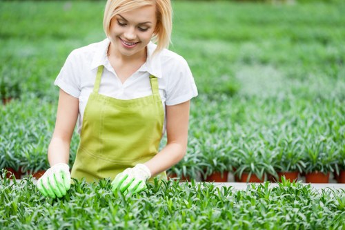 Cost-effective garden clearance services in Erith